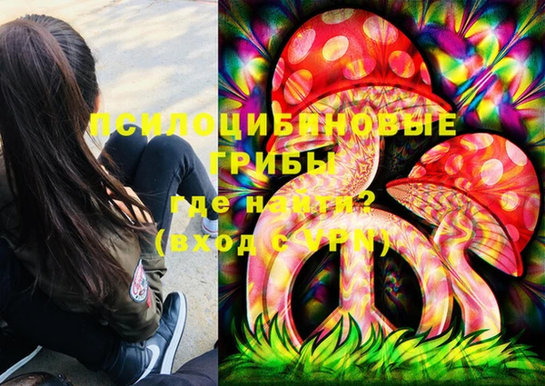 стаф Кукмор